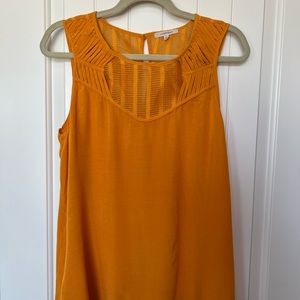 41 Hawthorn mustard top